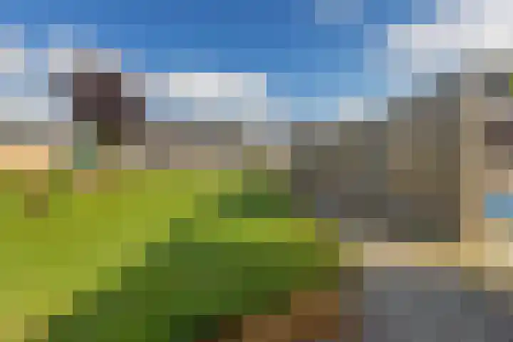 Gossepalen 44 Sneek thumbnail 38