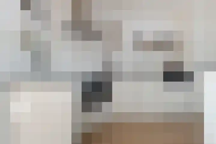 Gossepalen 44 Sneek thumbnail 4