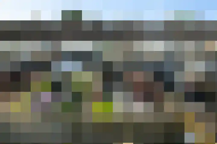 Gossepalen 44 Sneek thumbnail 40