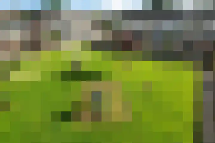 Gossepalen 44 Sneek thumbnail 41