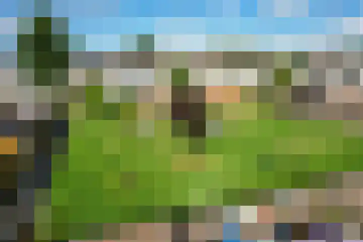 Gossepalen 44 Sneek thumbnail 42