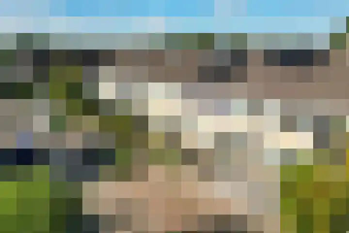 Gossepalen 44 Sneek thumbnail 43