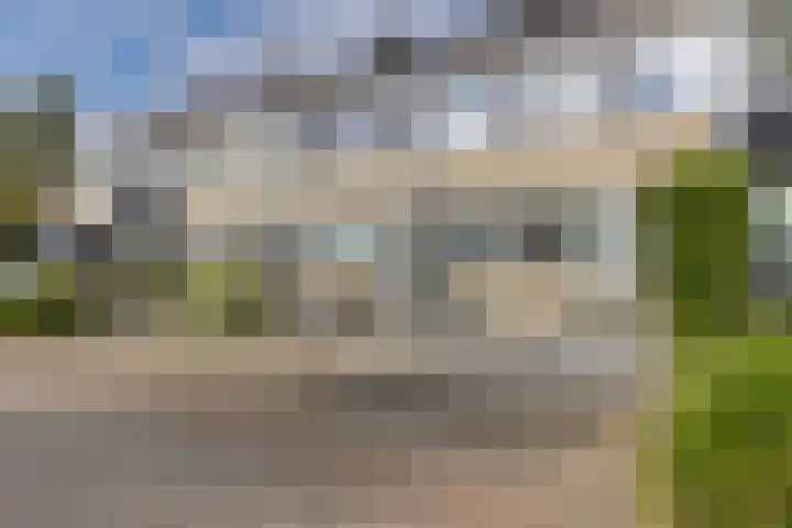 Gossepalen 44 Sneek thumbnail 44