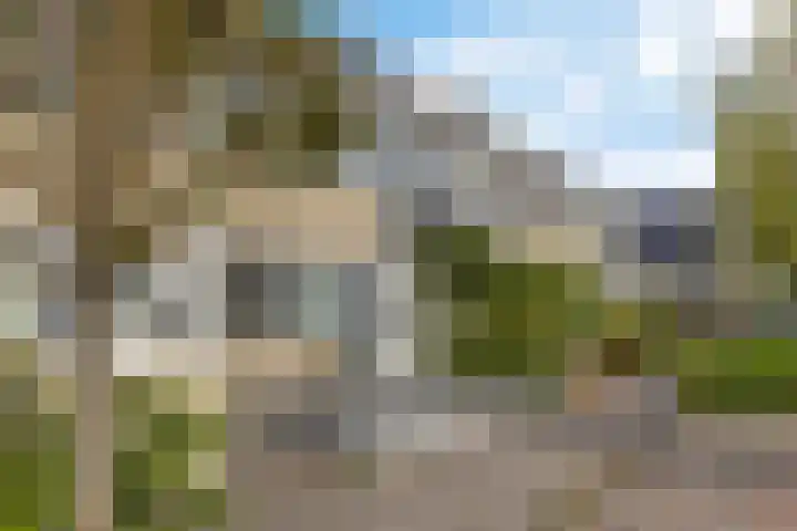 Gossepalen 44 Sneek thumbnail 45