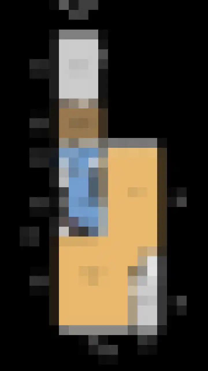 Gossepalen 44 Sneek thumbnail 48