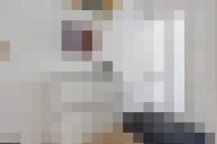 Gossepalen 44 Sneek thumbnail 5