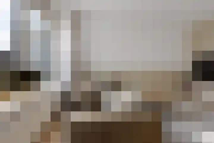 Gossepalen 44 Sneek thumbnail 6