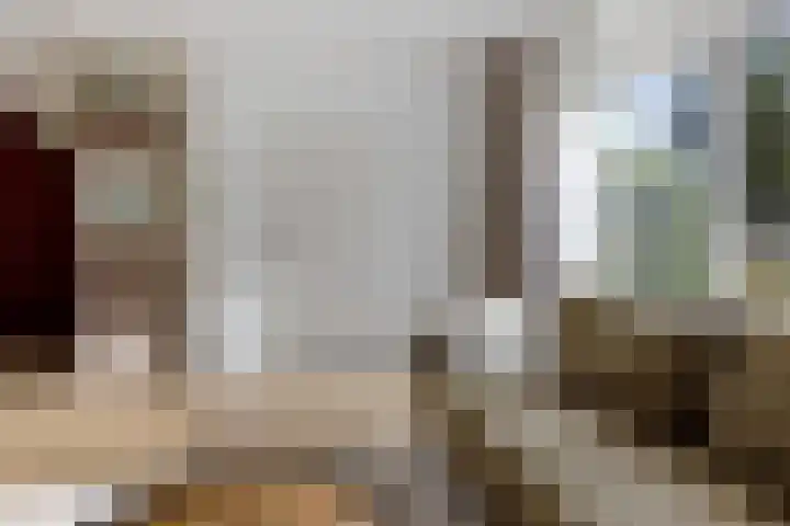 Gossepalen 44 Sneek thumbnail 7