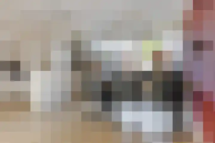 Gossepalen 44 Sneek thumbnail 8