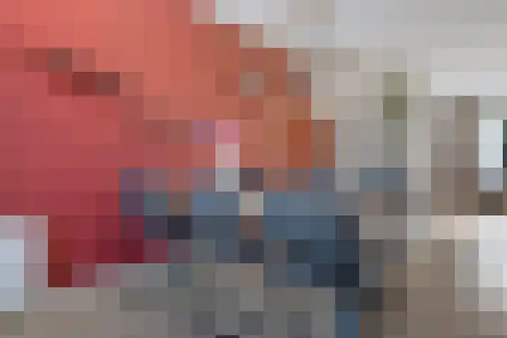 Gossepalen 44 Sneek thumbnail 9