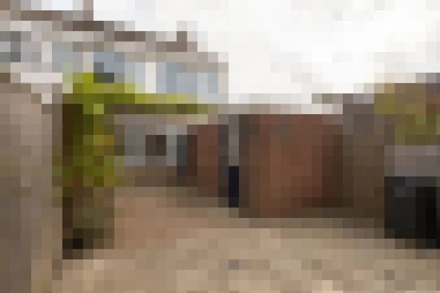 Gossepalen 52 Sneek thumbnail 30