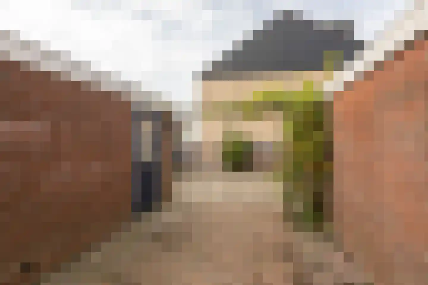 Gossepalen 52 Sneek thumbnail 32