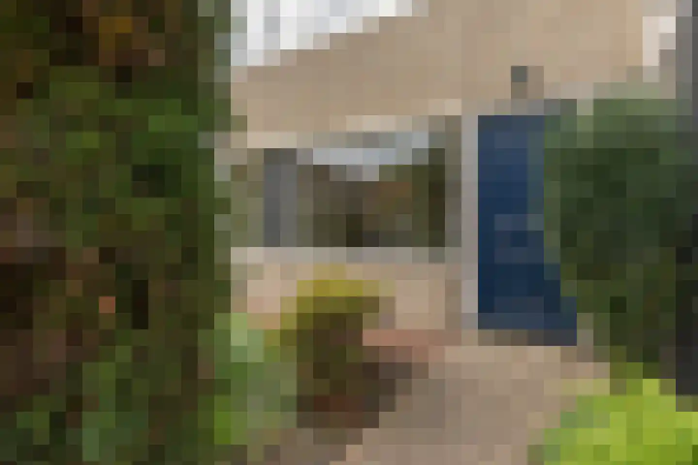 Gossepalen 52 Sneek thumbnail 4