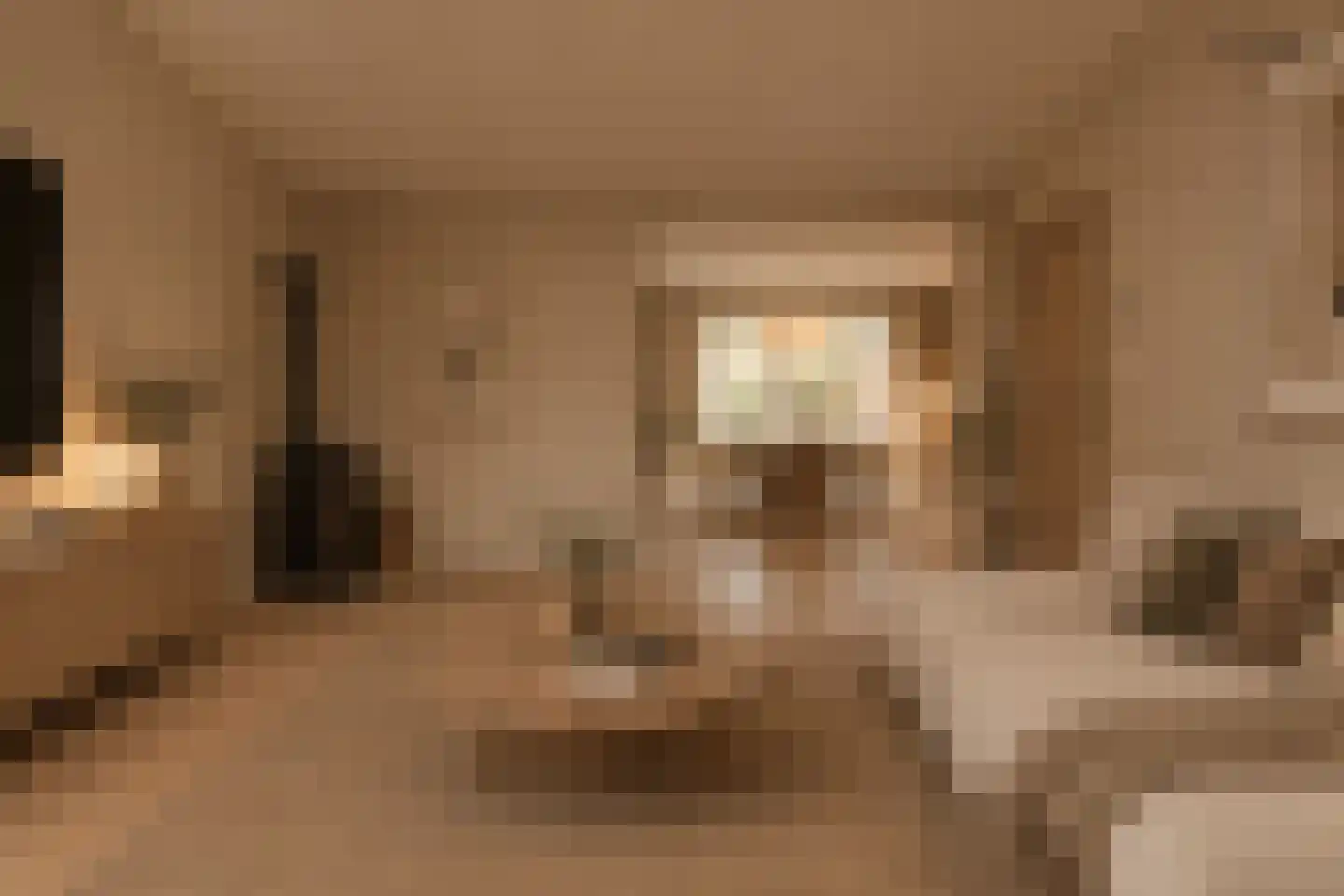 Gossepalen 52 Sneek thumbnail 8