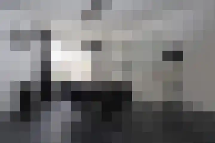 Gossepalen 60 Sneek thumbnail 12