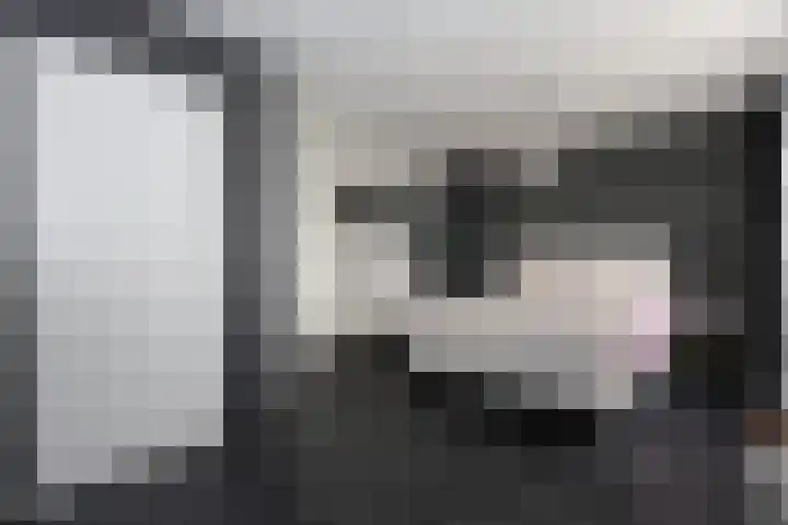 Gossepalen 60 Sneek thumbnail 13