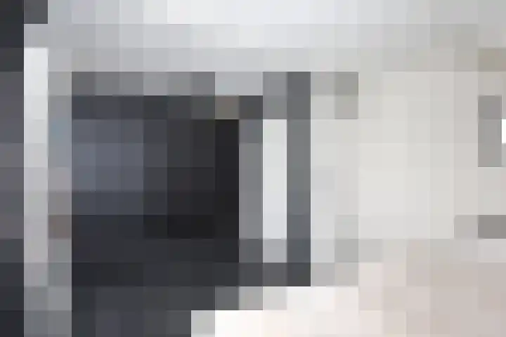 Gossepalen 60 Sneek thumbnail 14