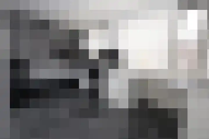 Gossepalen 60 Sneek thumbnail 15