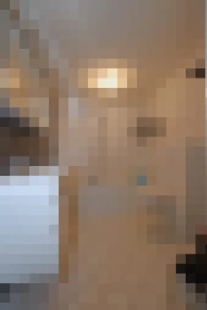 Gossepalen 60 Sneek thumbnail 18