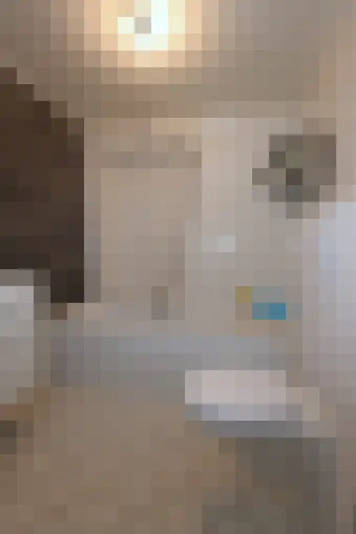 Gossepalen 60 Sneek thumbnail 19