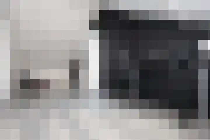 Gossepalen 60 Sneek thumbnail 22