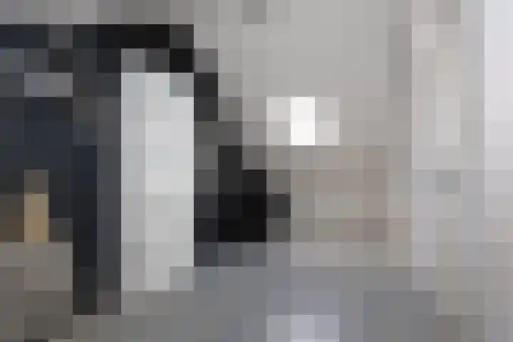 Gossepalen 60 Sneek thumbnail 23