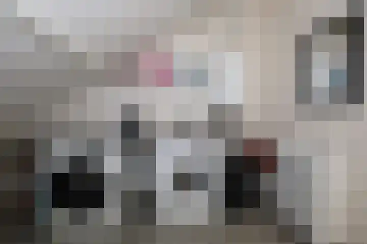 Gossepalen 60 Sneek thumbnail 24