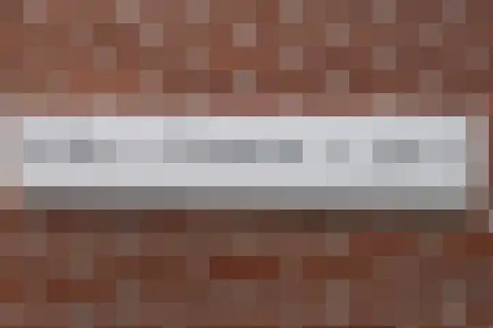 Gossepalen 60 Sneek thumbnail 25
