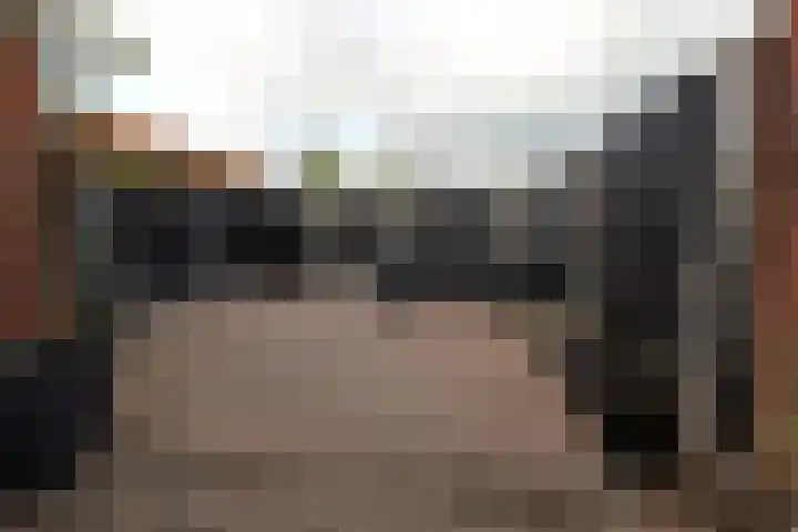 Gossepalen 60 Sneek thumbnail 4
