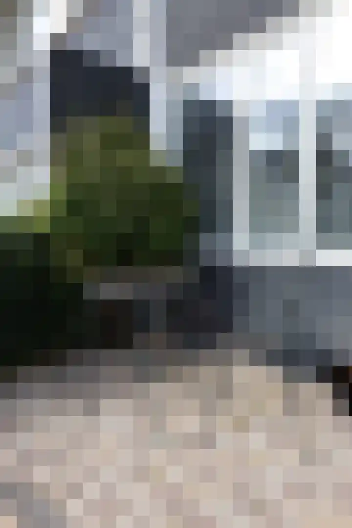 Gossepalen 60 Sneek thumbnail 6