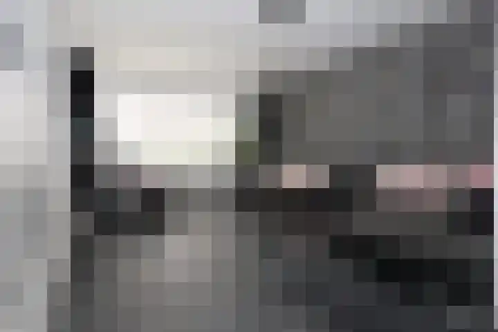 Gossepalen 60 Sneek thumbnail 7