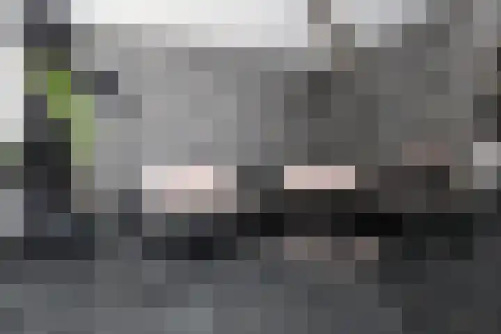 Gossepalen 60 Sneek thumbnail 8