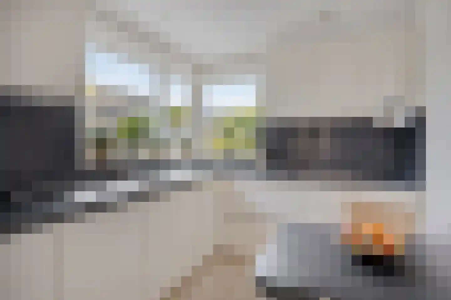 Gossinksweide 19 Goor thumbnail 16