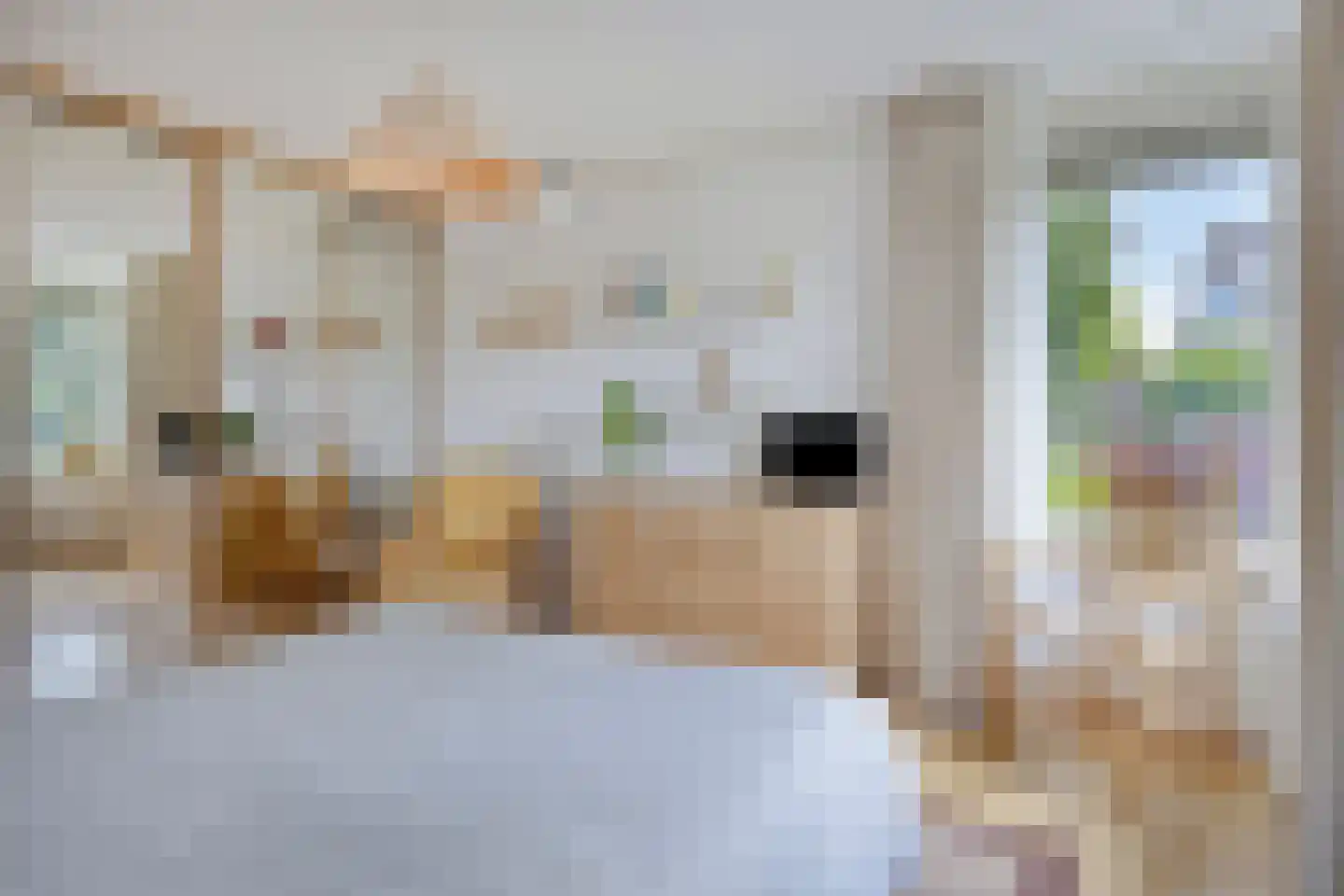 Gossinksweide 19 Goor thumbnail 20