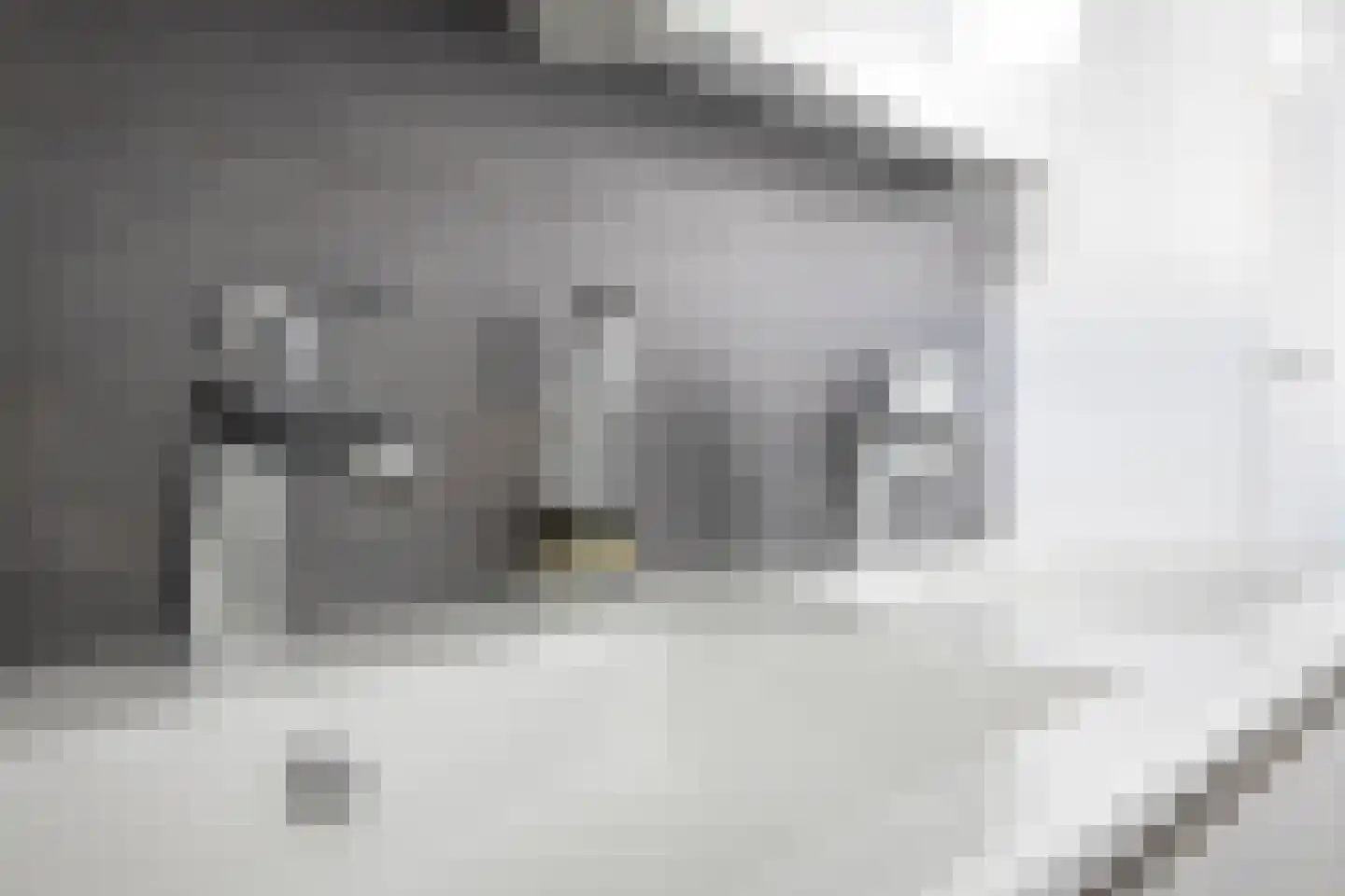 Gossinksweide 19 Goor thumbnail 24