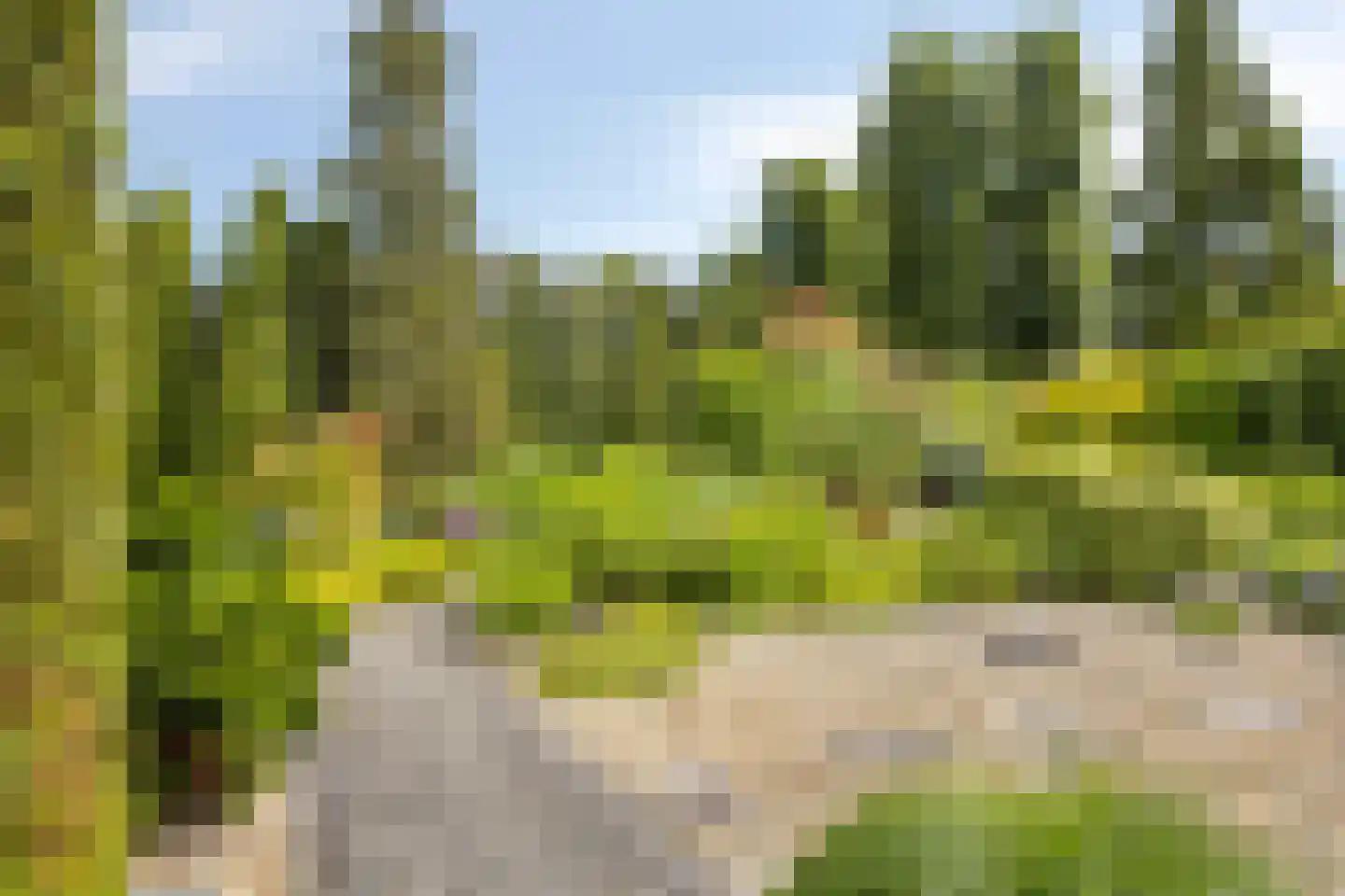 Gossinksweide 19 Goor thumbnail 31