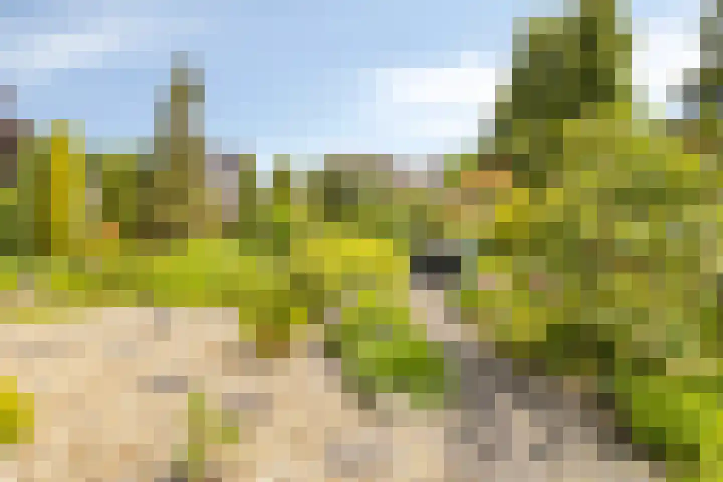 Gossinksweide 19 Goor thumbnail 33