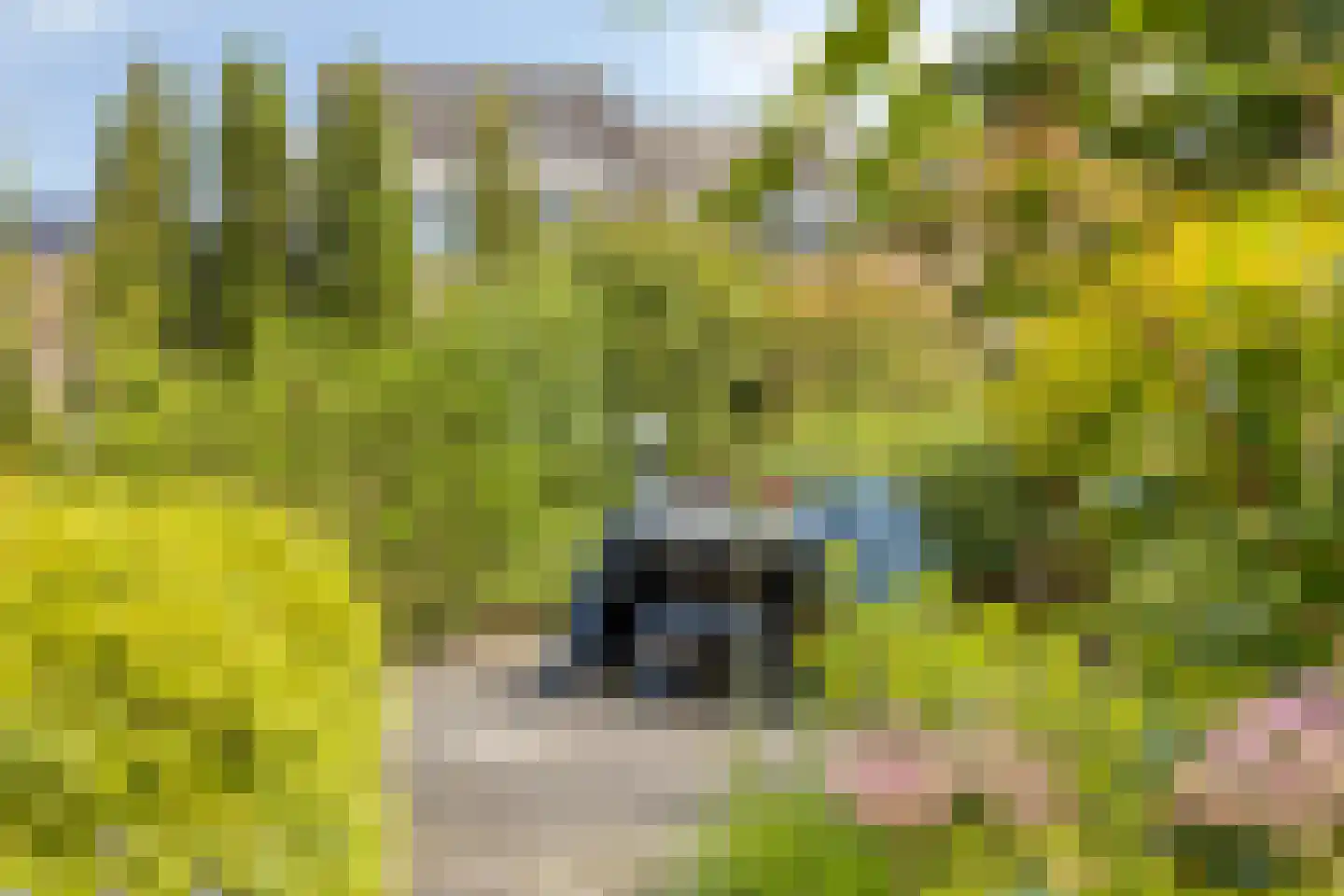 Gossinksweide 19 Goor thumbnail 34
