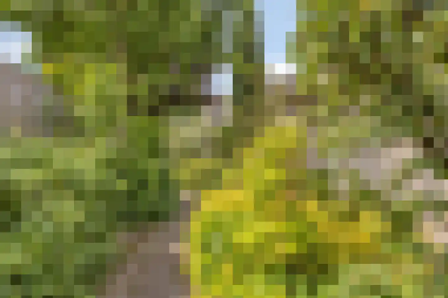 Gossinksweide 19 Goor thumbnail 35