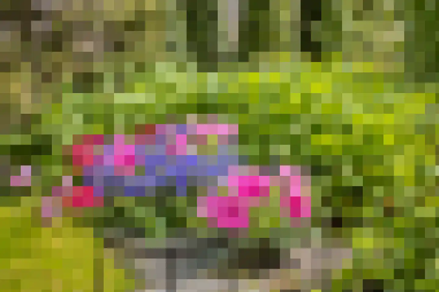 Gossinksweide 19 Goor thumbnail 36