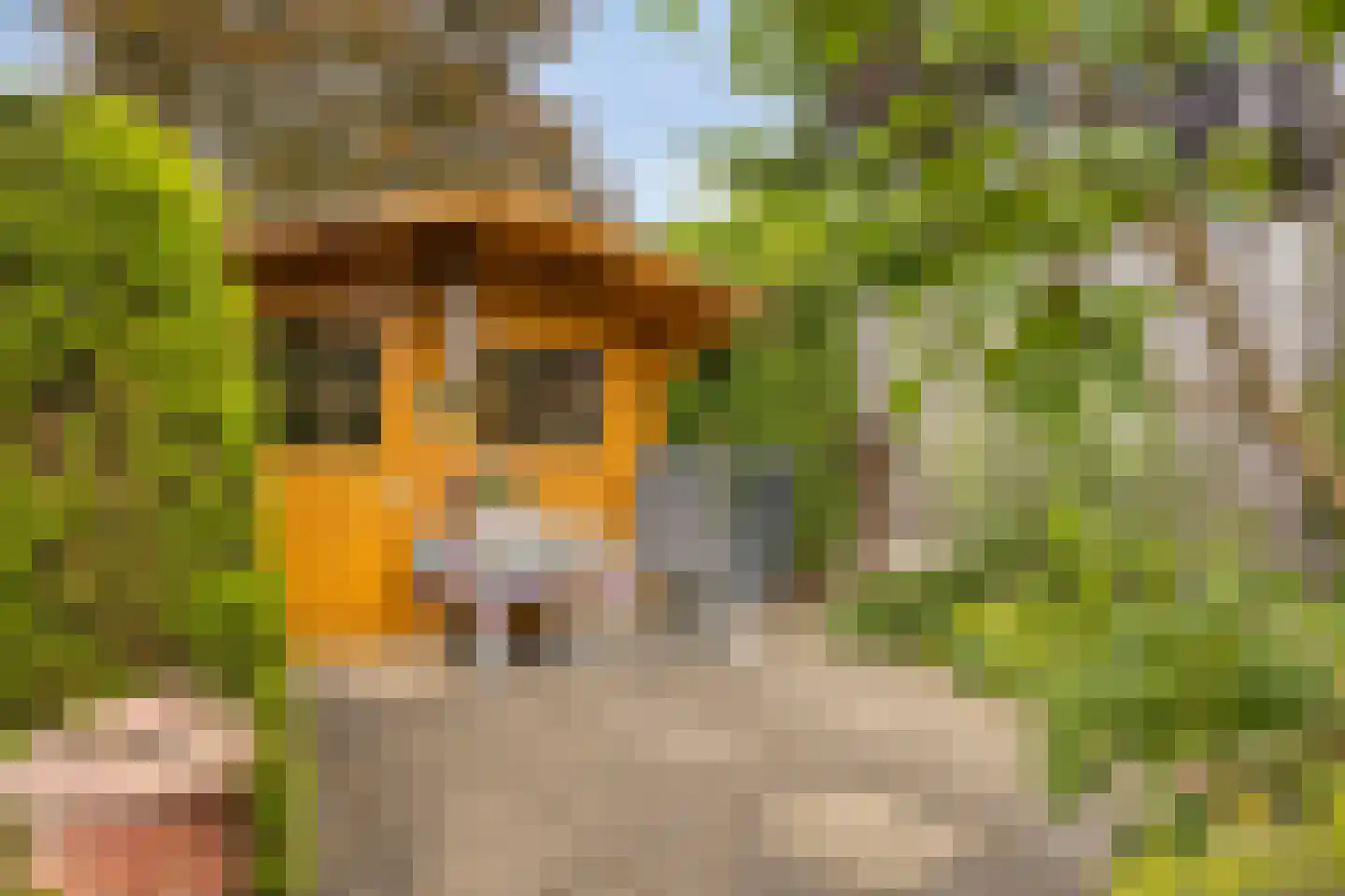 Gossinksweide 19 Goor thumbnail 38