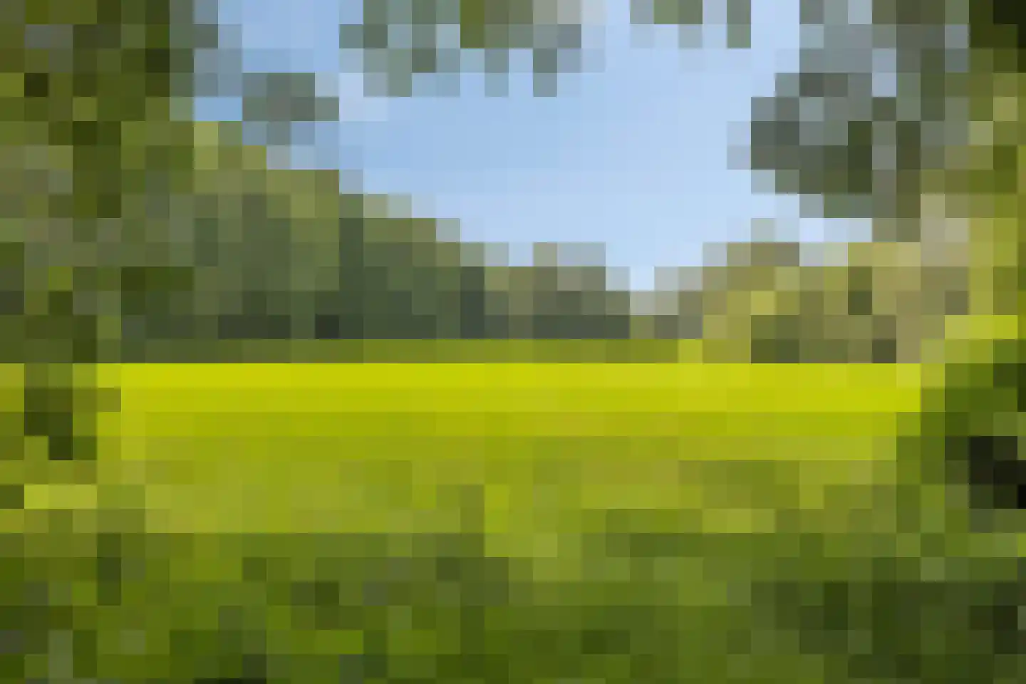 Gossinksweide 19 Goor thumbnail 41
