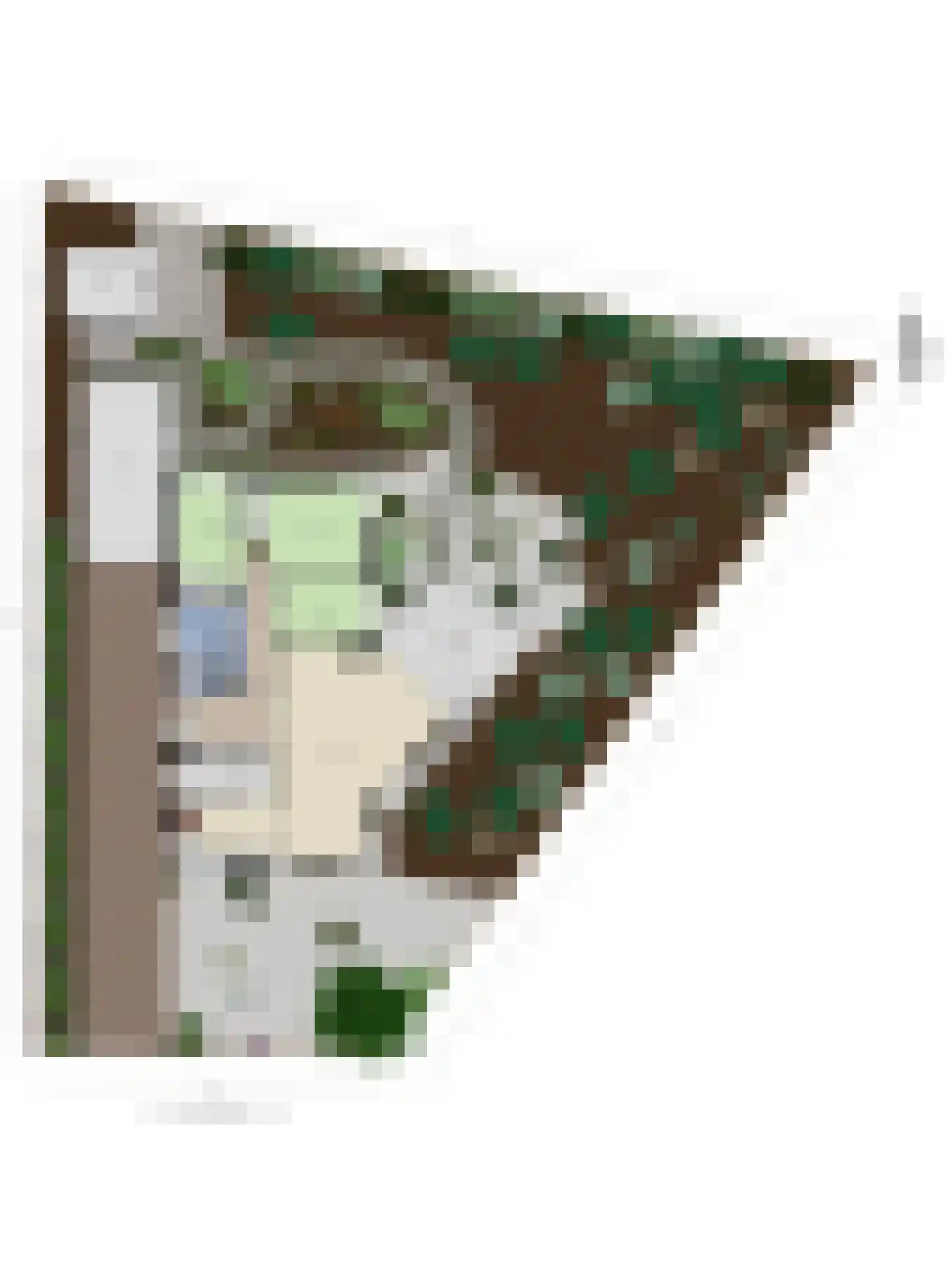 Gossinksweide 19 Goor thumbnail 44
