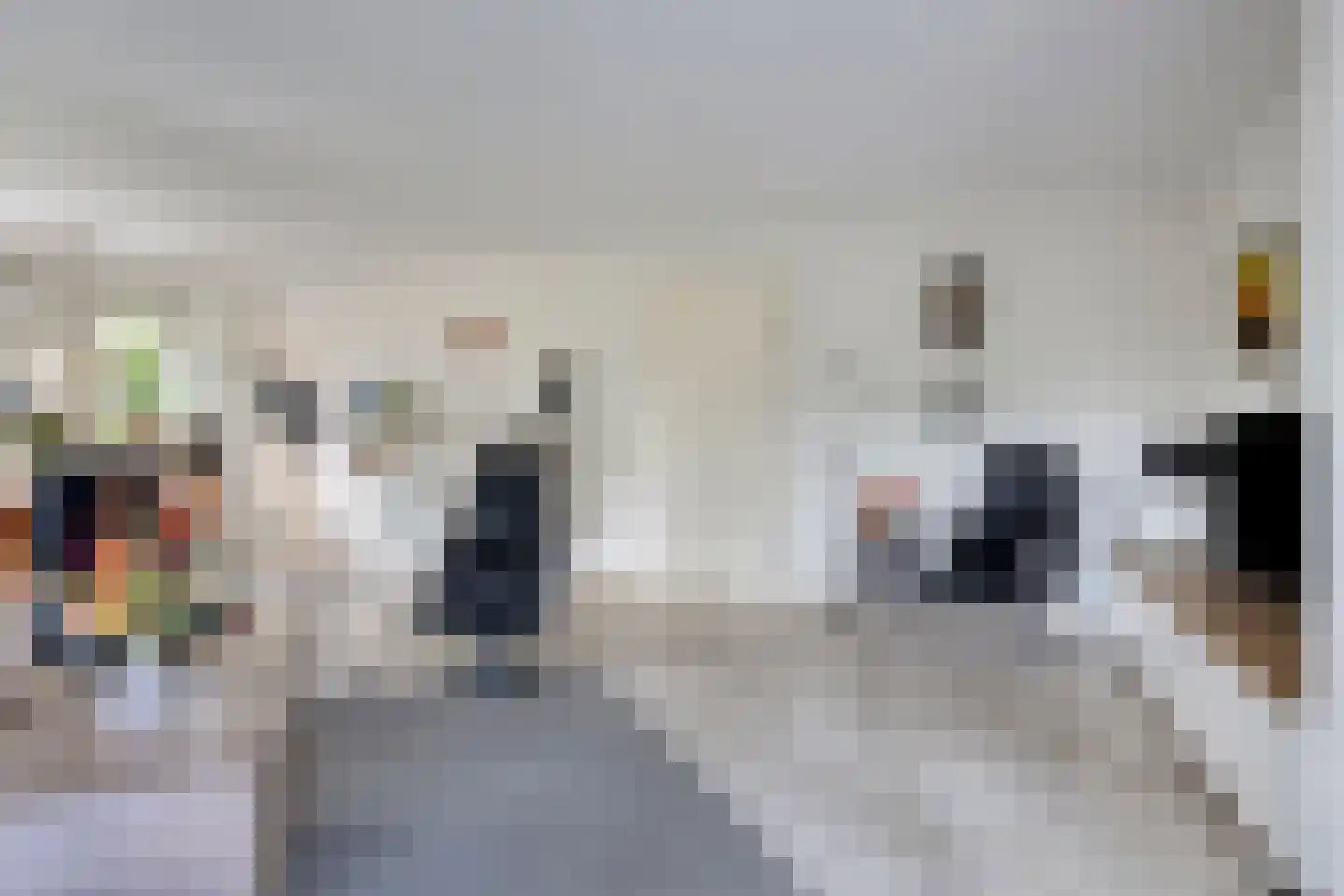 Gossinksweide 19 Goor thumbnail 8