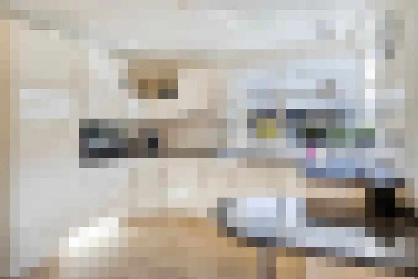 Gossinksweide 6 Goor thumbnail 17