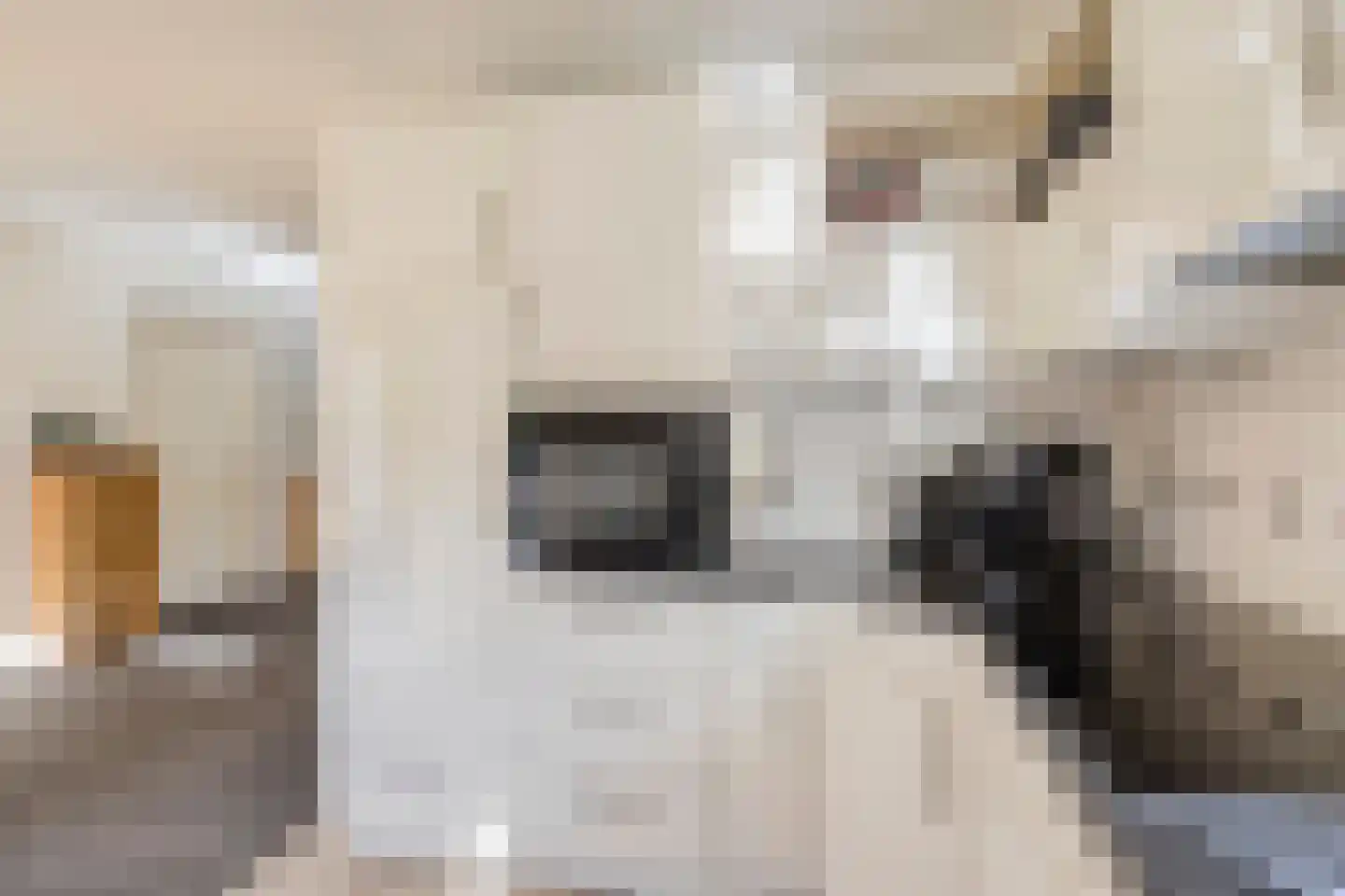 Gossinksweide 6 Goor thumbnail 18