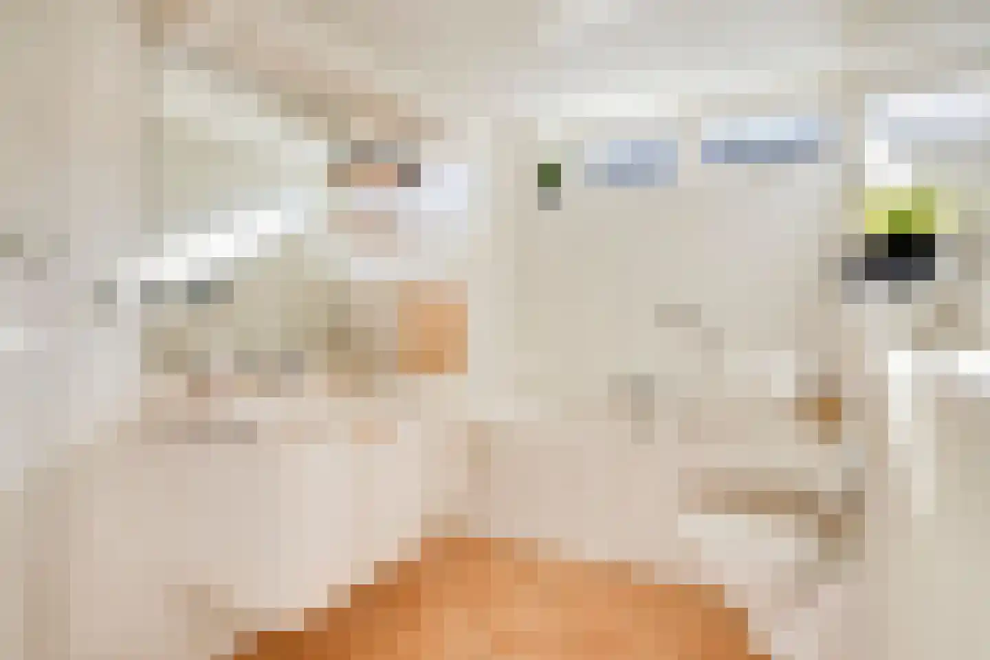 Gossinksweide 6 Goor thumbnail 26