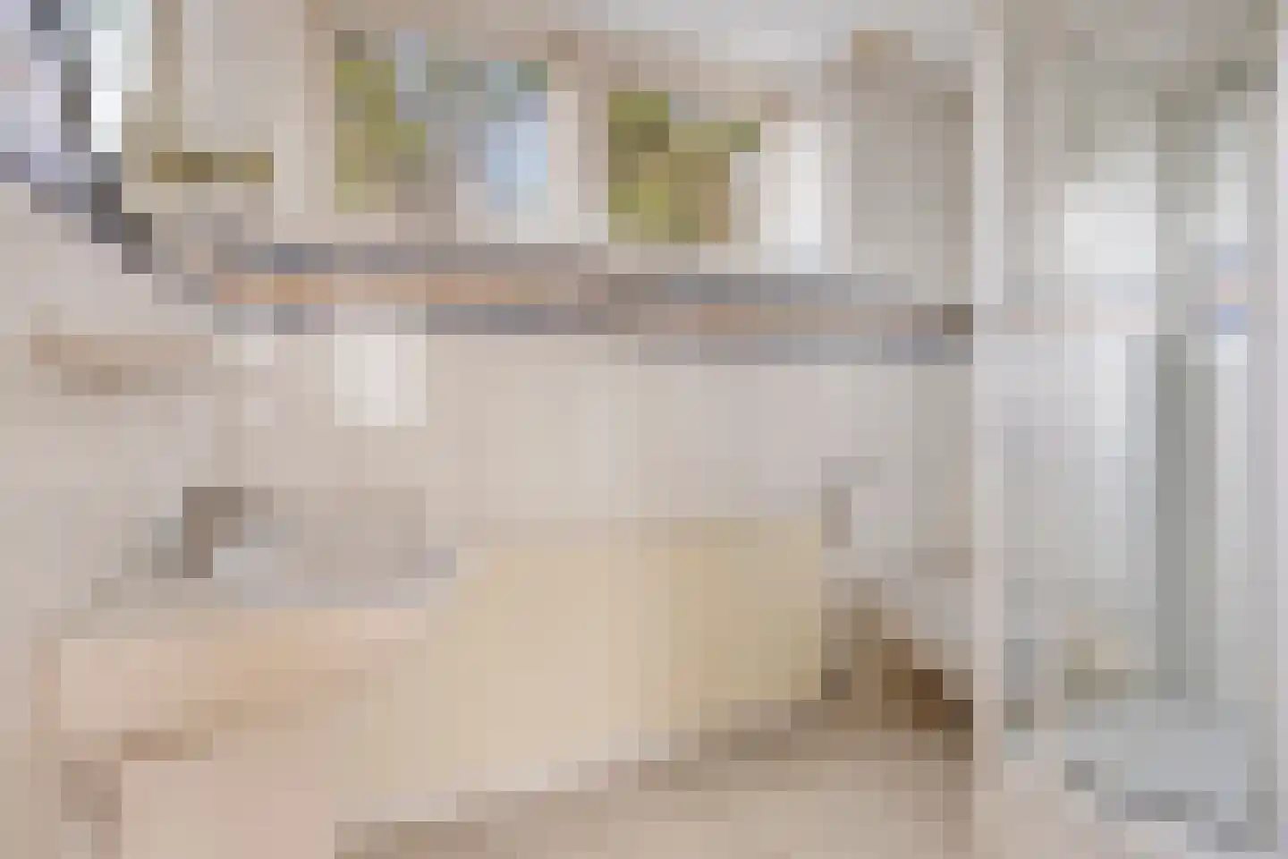 Gossinksweide 6 Goor thumbnail 31