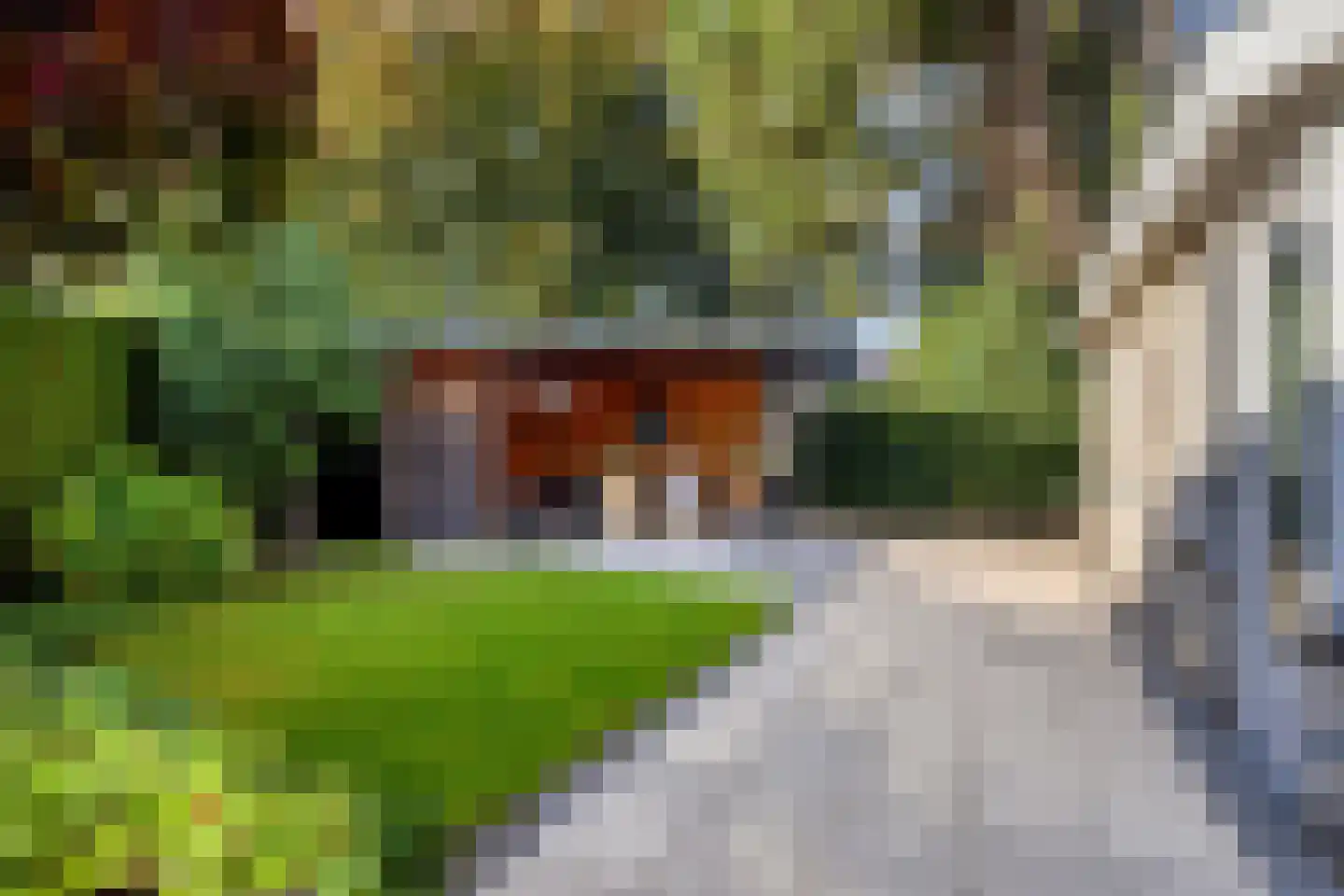 Gossinksweide 6 Goor thumbnail 37
