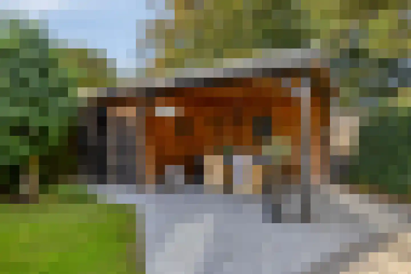 Gossinksweide 6 Goor thumbnail 38